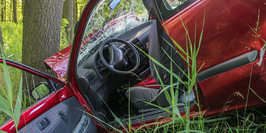 Car accident in a wood.