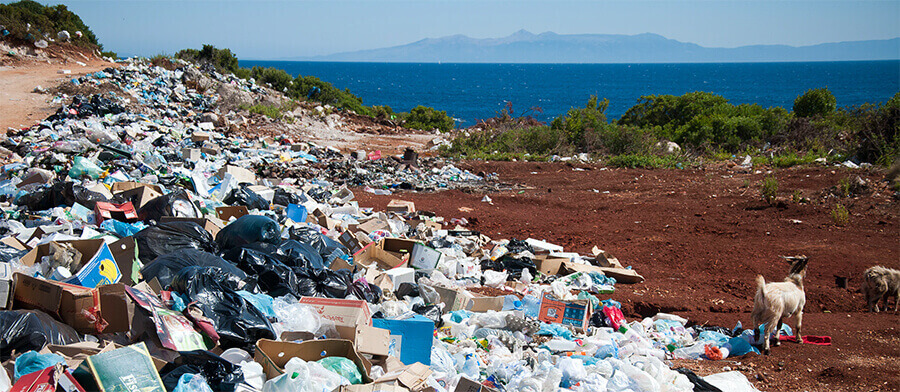 Large piles of rubbish near the coast with a goat.