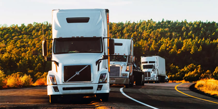 Small fleet of trucks.