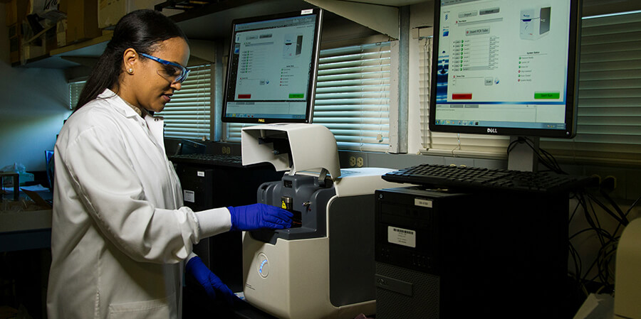 Mediacal staff analysing a sample.