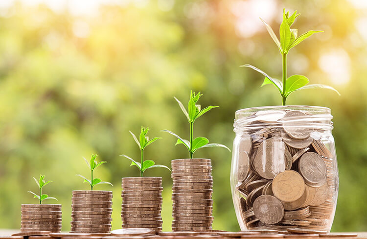 Seedlings growing from coins.