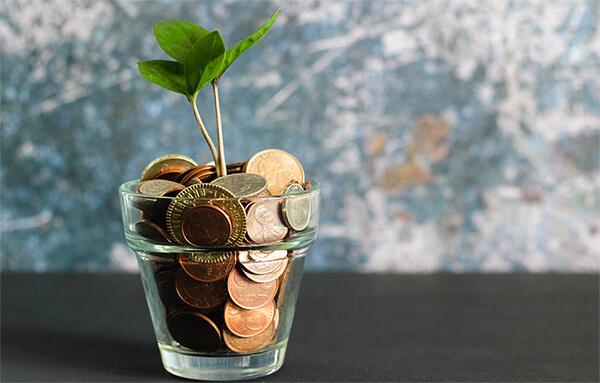 Seedling growing from coins.