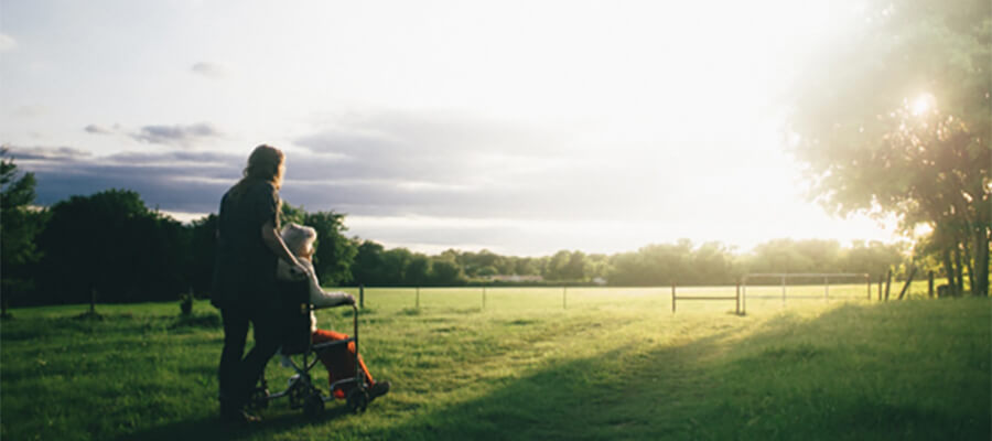 Taking an elderly person for a walk in a sunny field.