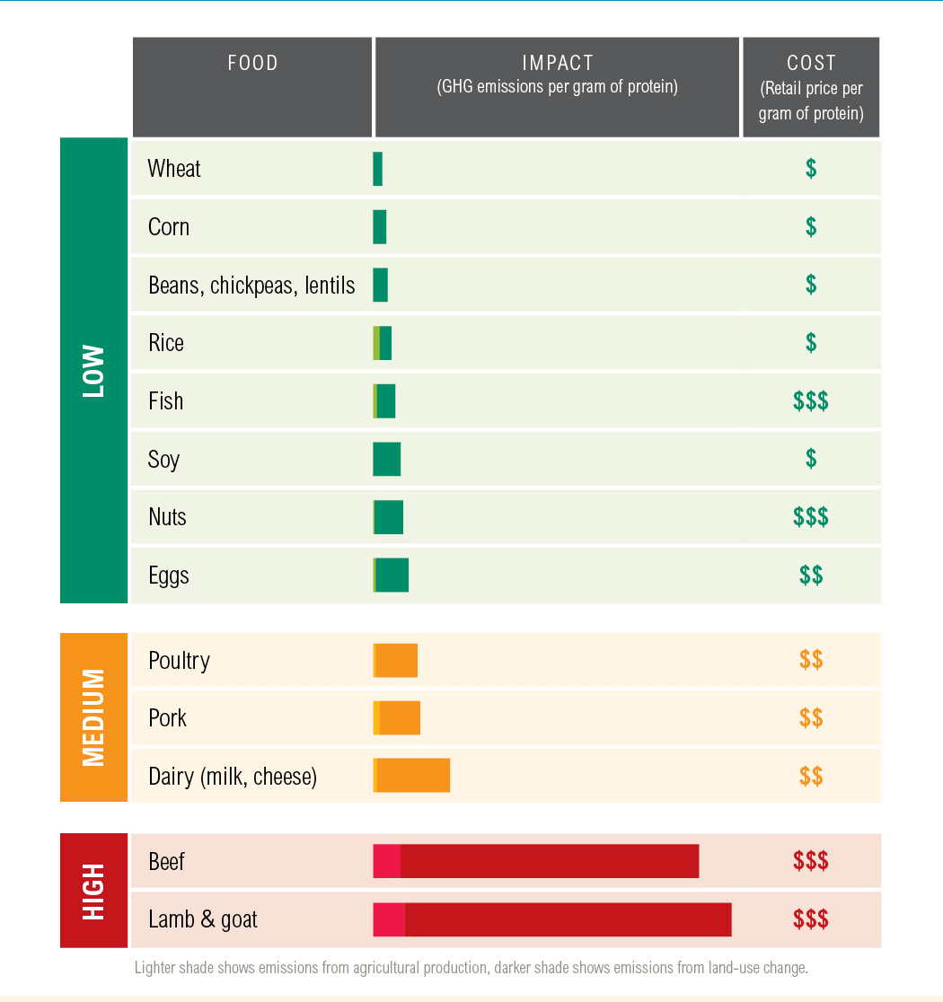 A graph to show The Environmental Impact of Protein