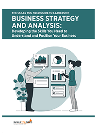 The Skills You Need Guide to Business Strategy and Analysis